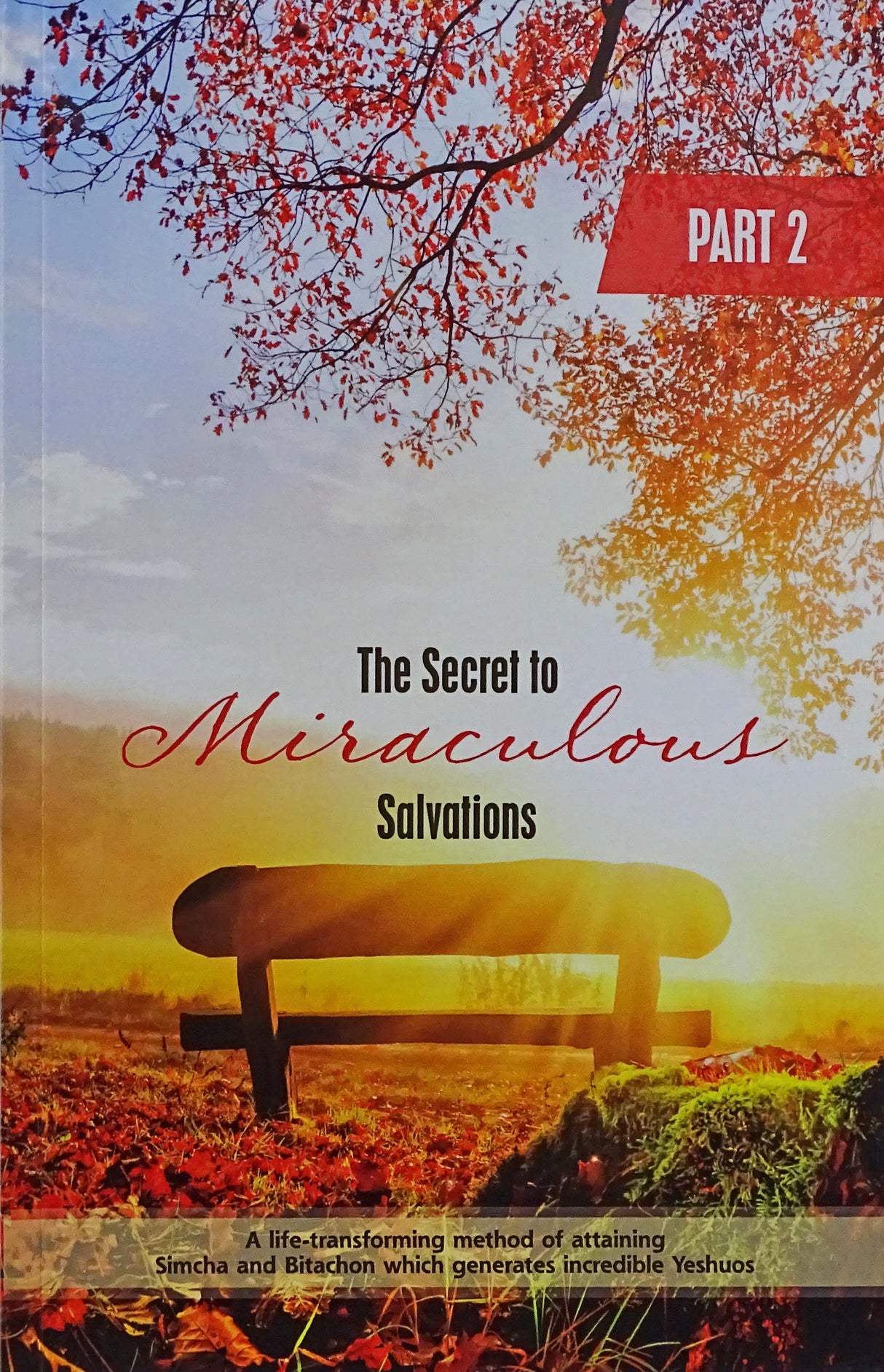 The Secret to Miraculous Salvations Volume 2