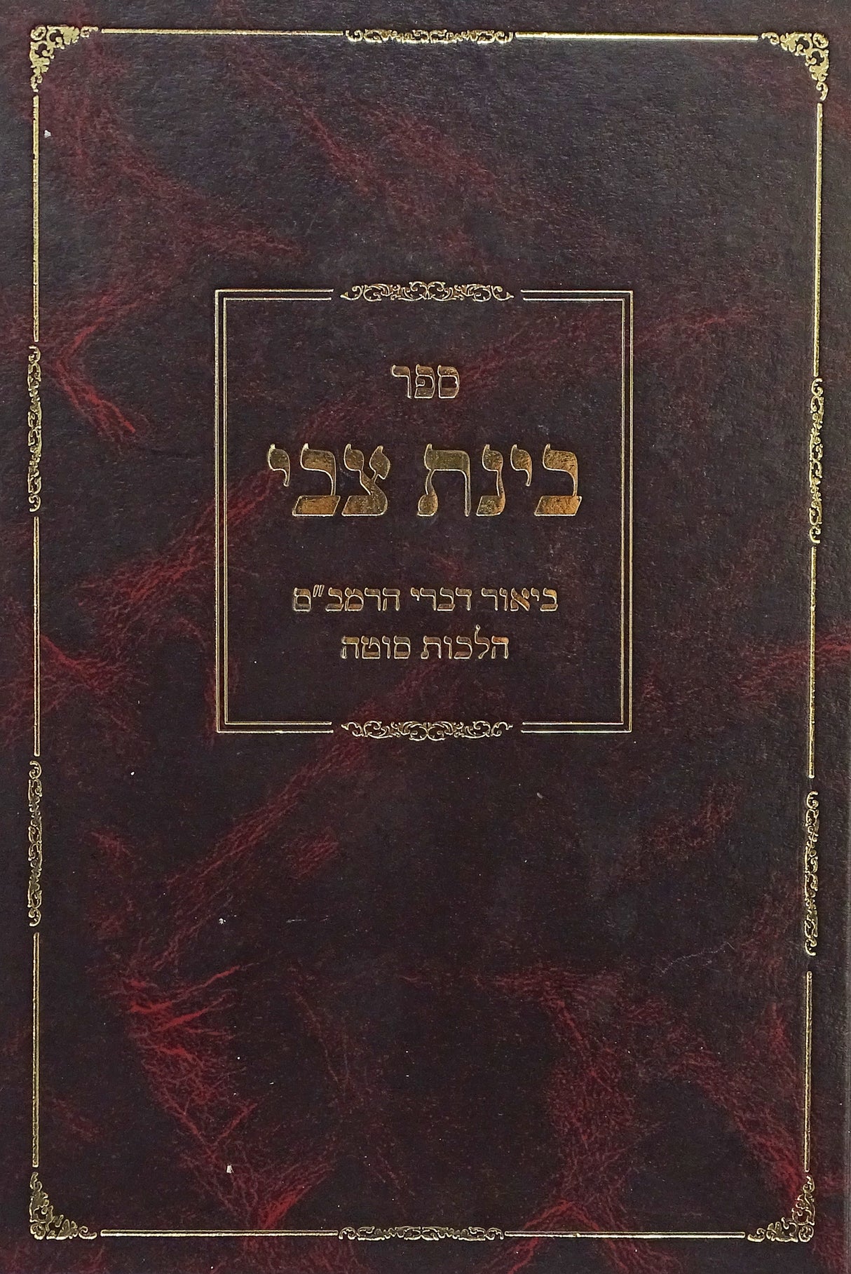 בינת צבי - סוטה