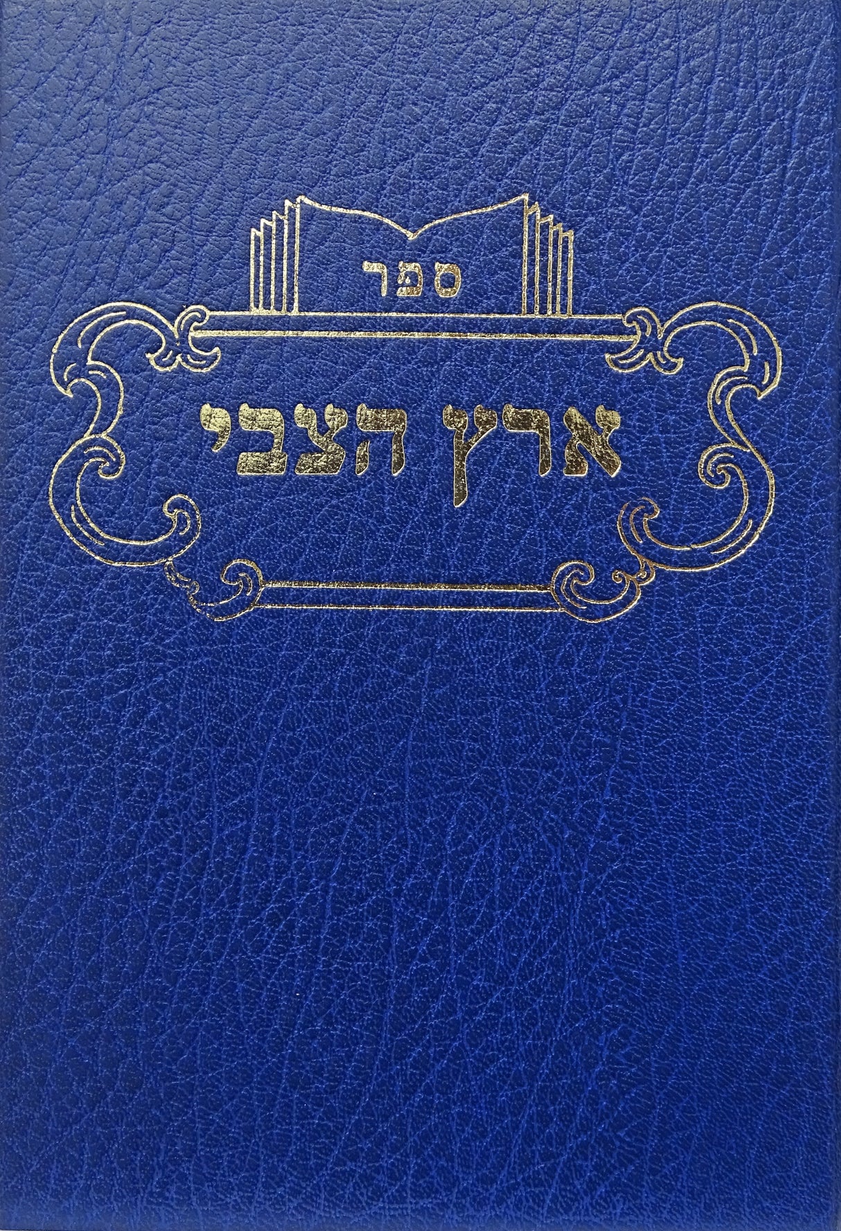 ארץ הצבי - ביאורי סוגיות