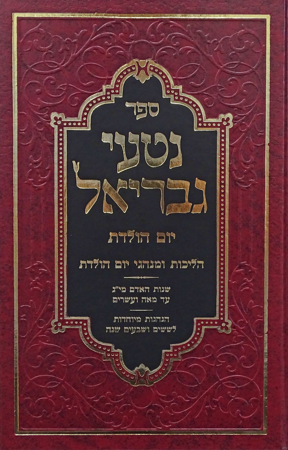 נטעי גבריאל - יום הולדת