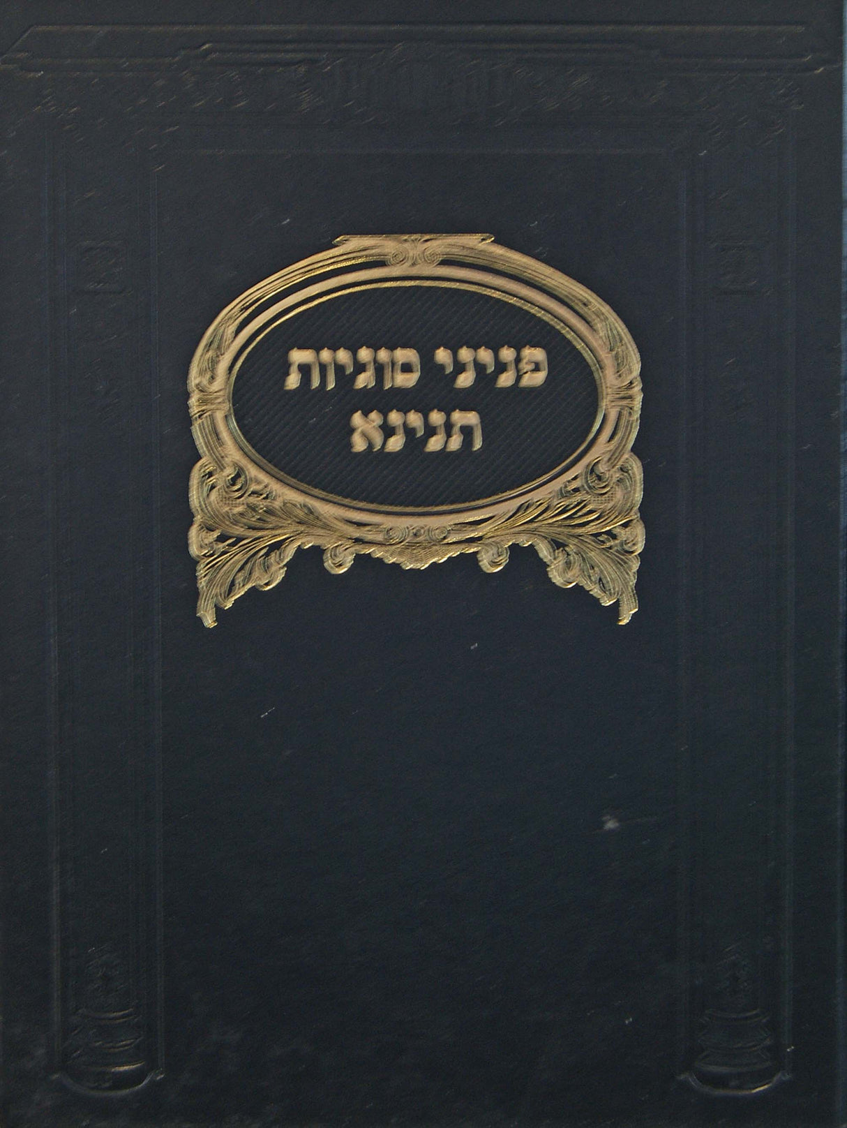 פניני סוגיות תנינא - שיעורים על ענינים שונים