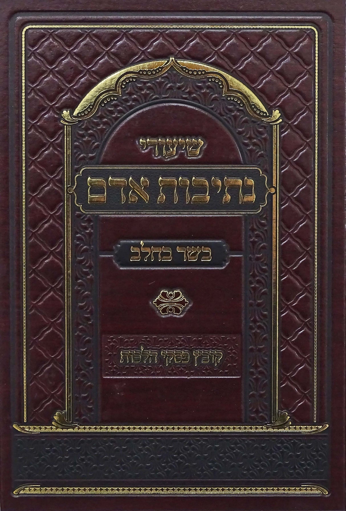 שיעורי נתיבות אדם