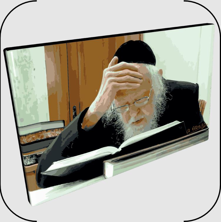 Paint By Number Jbrush - Rav Yosef Shalom Elyashiv ZT”L 16x20