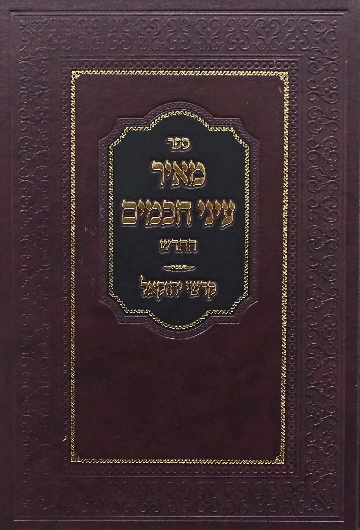 מאיר עיני חכמים החדש - ויקרא/במדבר/דרשות