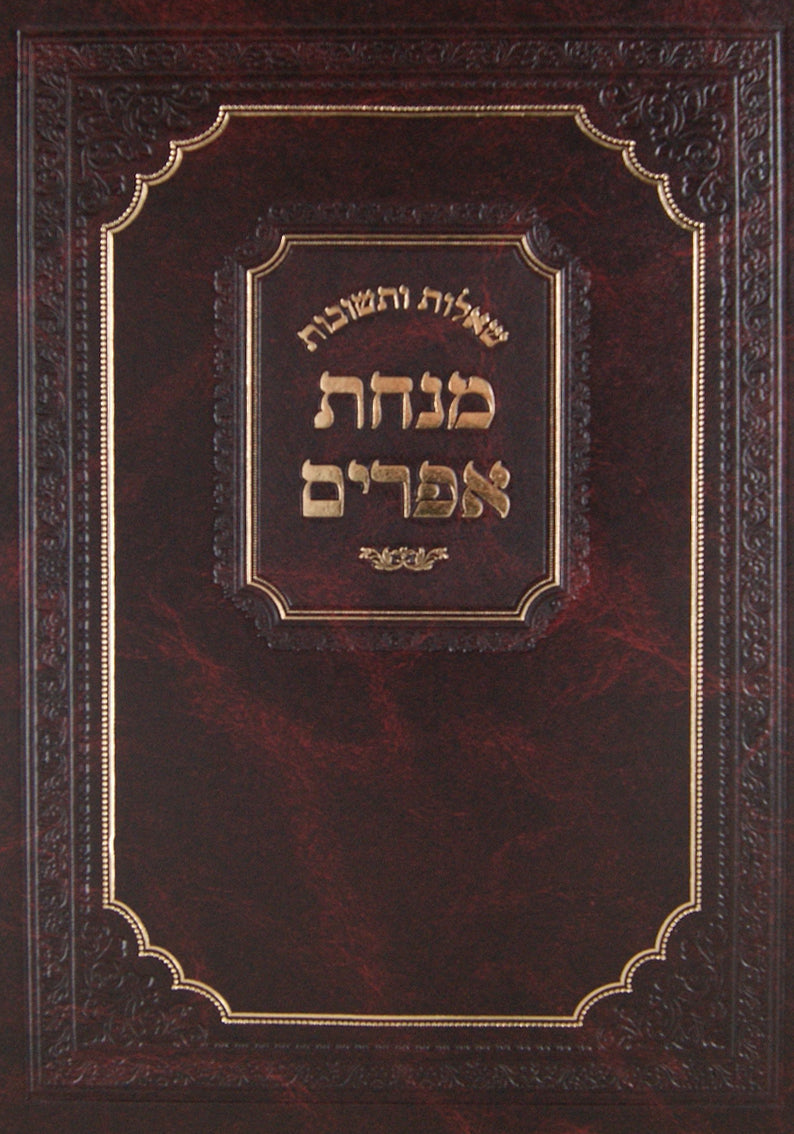 מנחת אפרים שו"ת