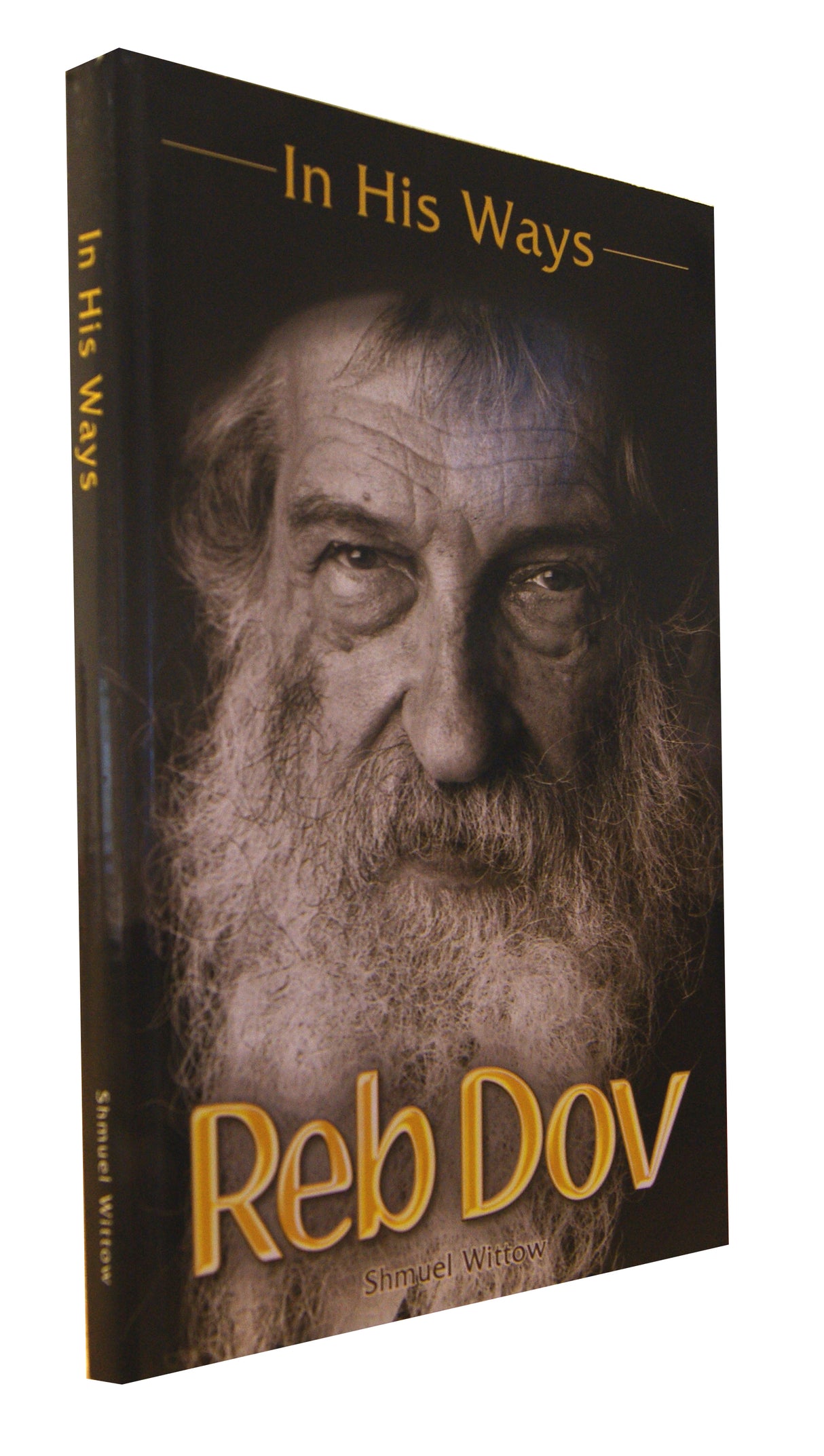 In His Ways - Reb Dov P/b