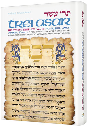 Artscroll: Trei Asar I / Twelve Prophets I by Rabbi Matis Roberts