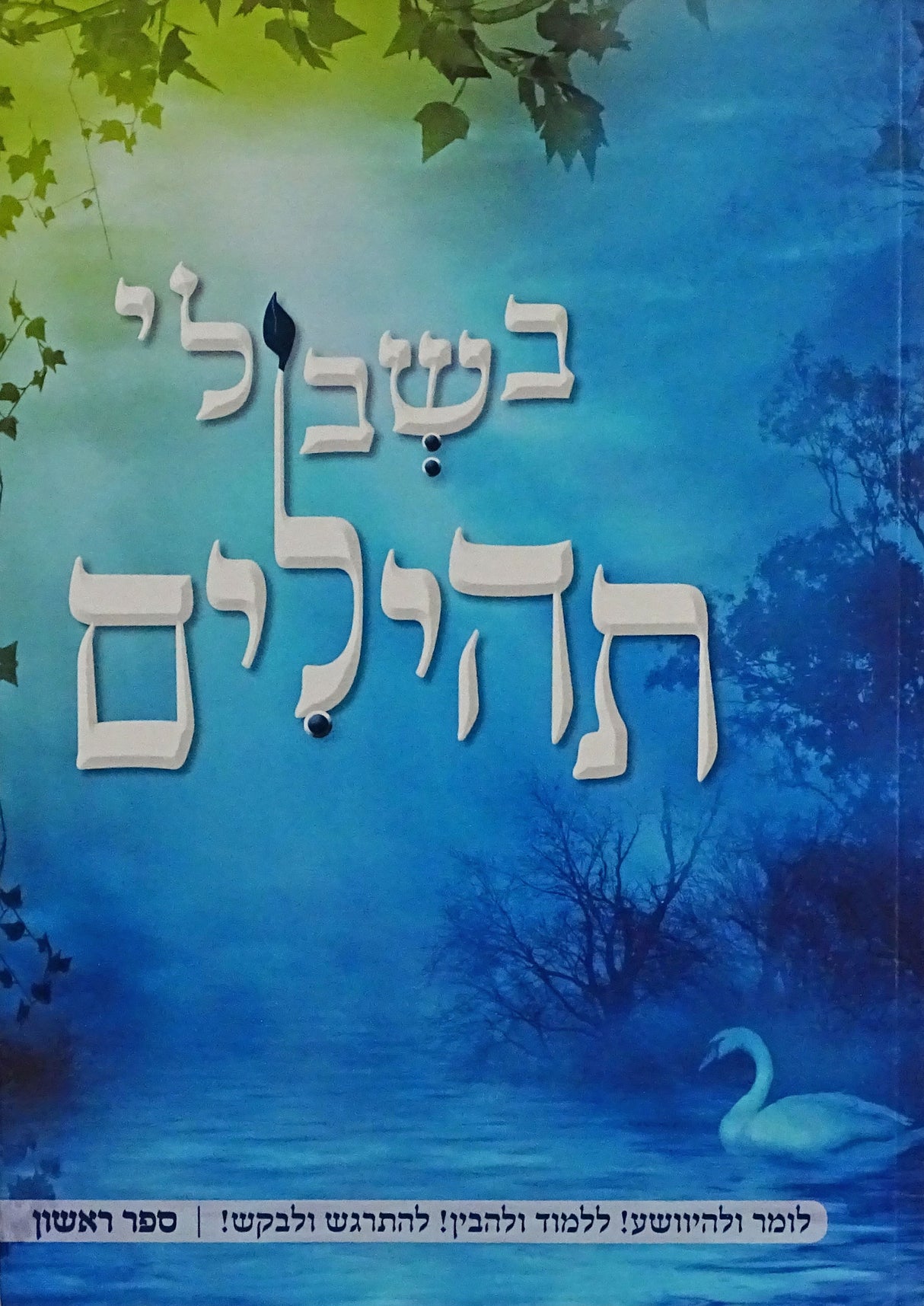 בשבילי תהילים רכה חלק א