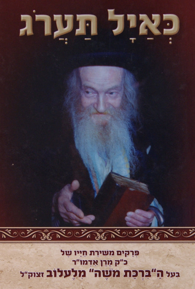 כאיל תערוג - הרבי מללוב