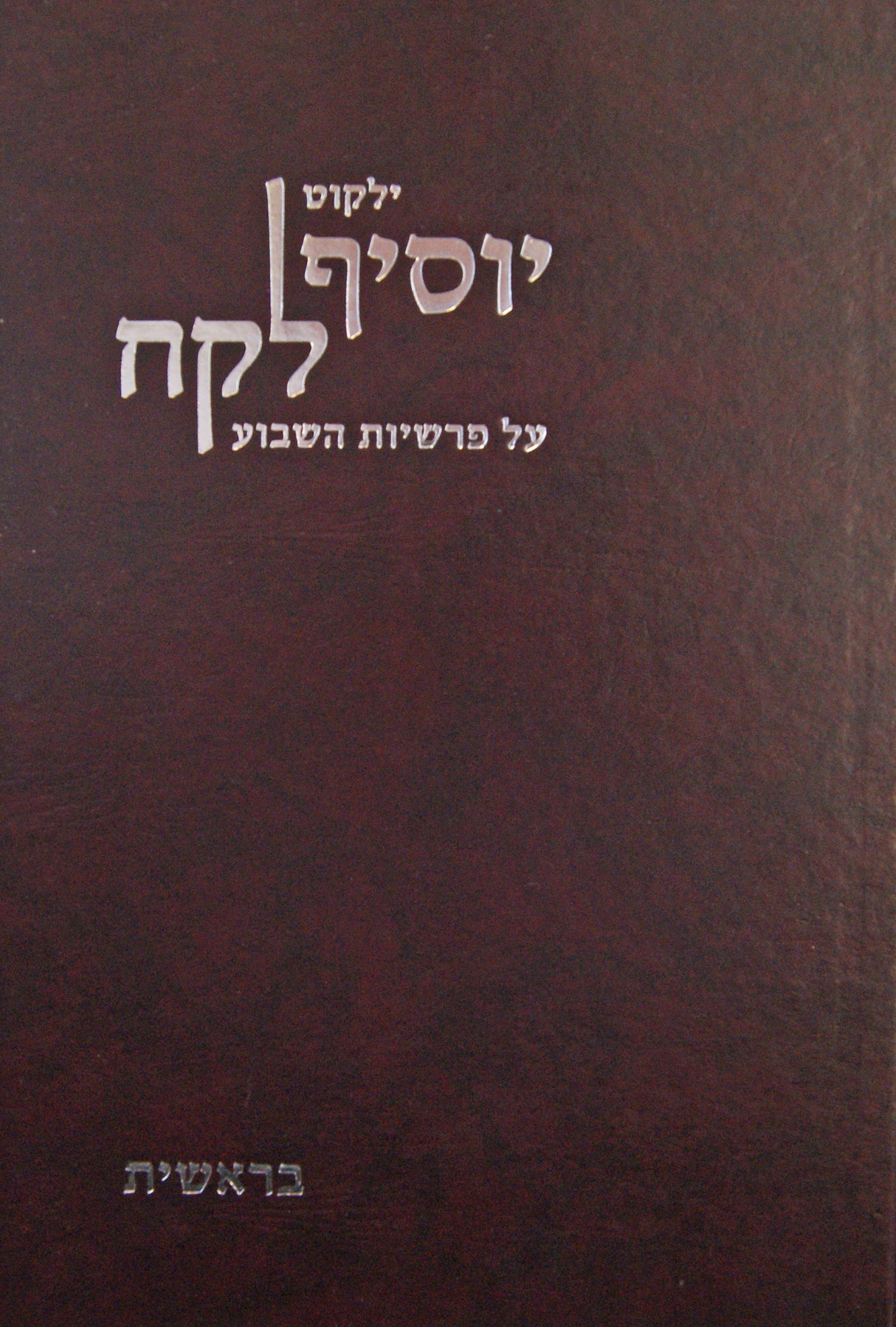 יוסיף לקח - בראשית