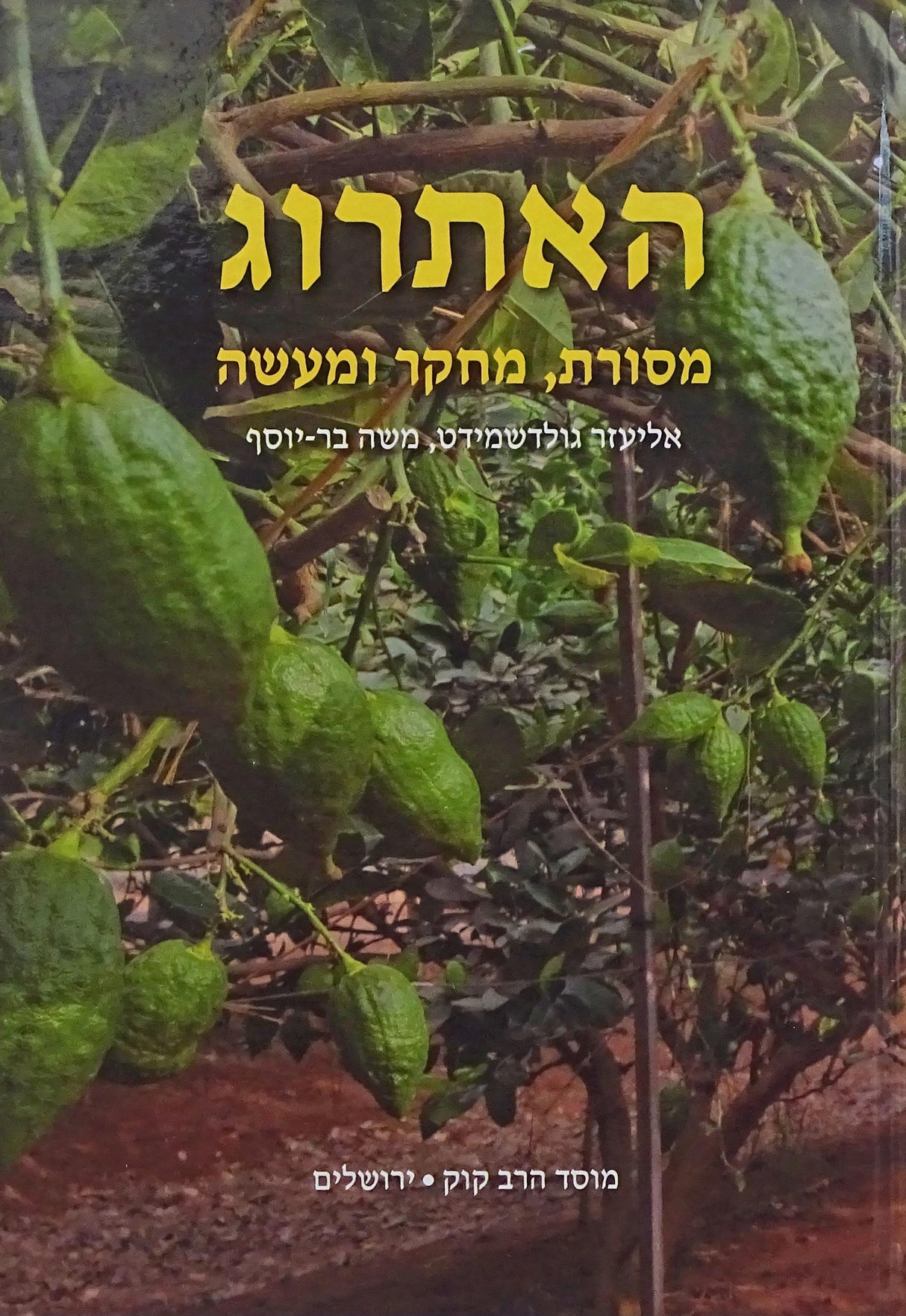 האתרוג - מוסד הרב קוק