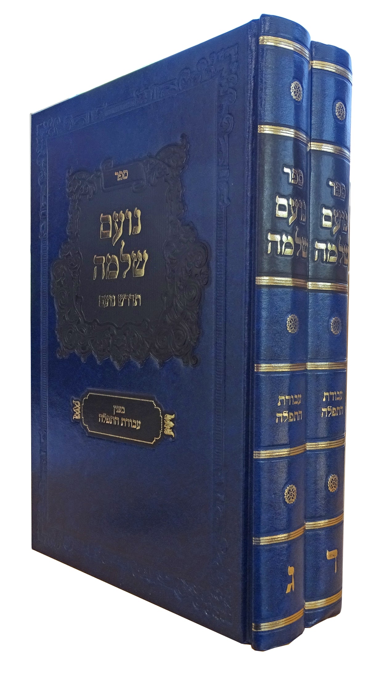 נועם שלמה ג-ד ב"כ -עבודת התפלה