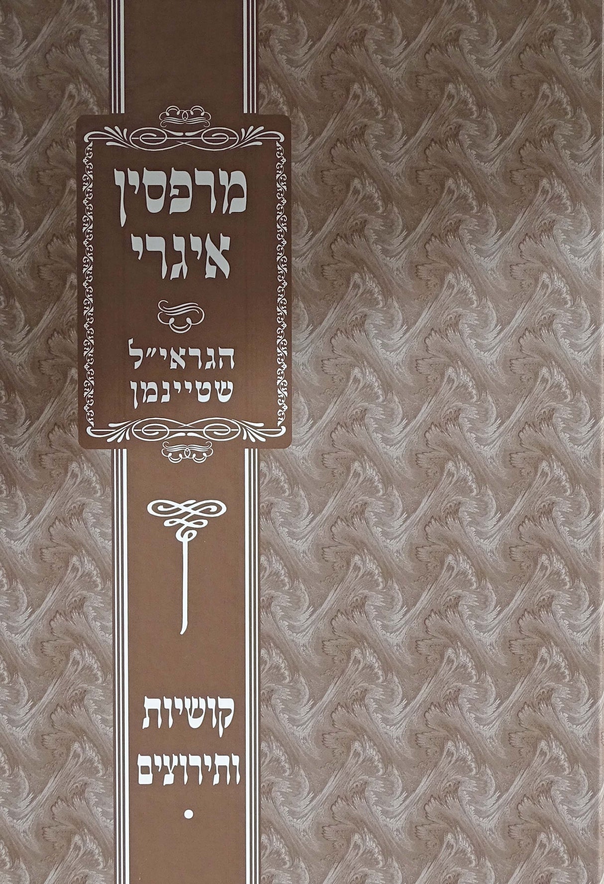 מרפסין איגרי - הרב שטיינמן - קושיות ותירוצים