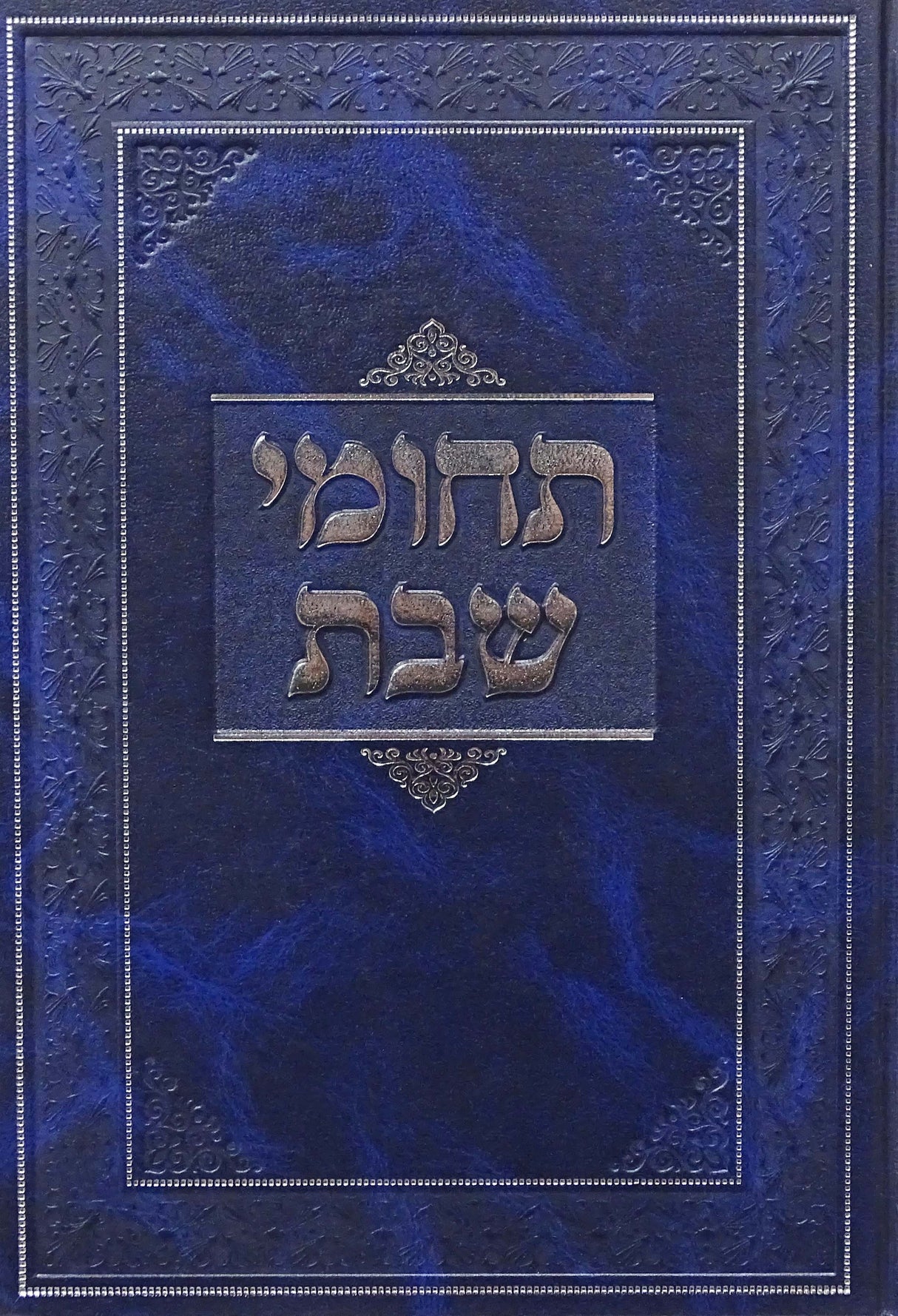 תחומי שבת