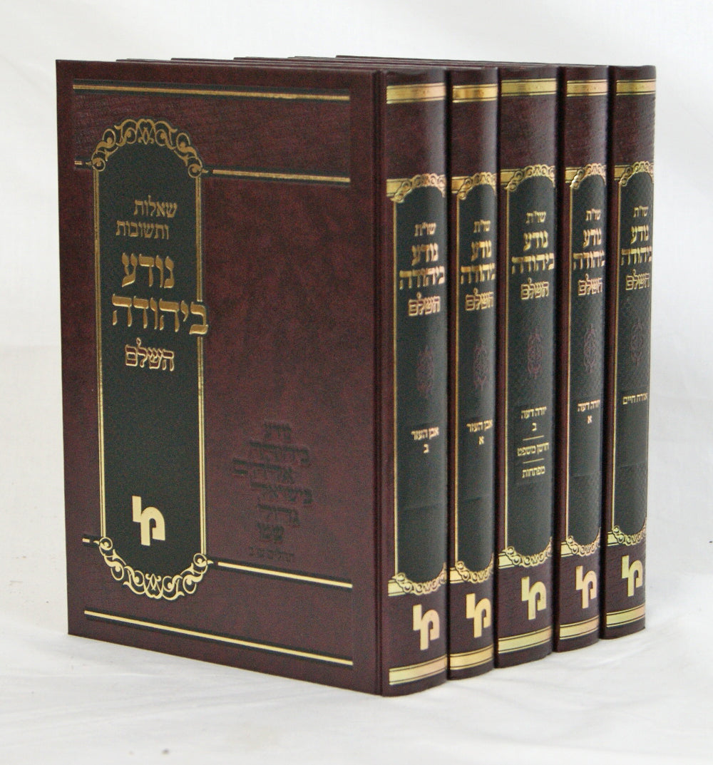 נודע ביהודה על המועדים ב' כרכים