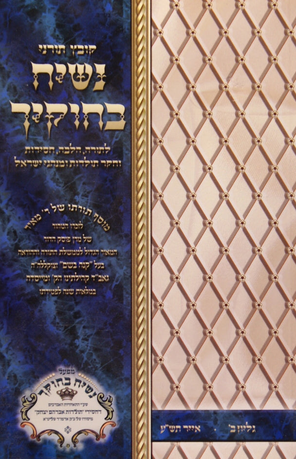 נשיח בחוקיך - תולדות אברהם יצחק