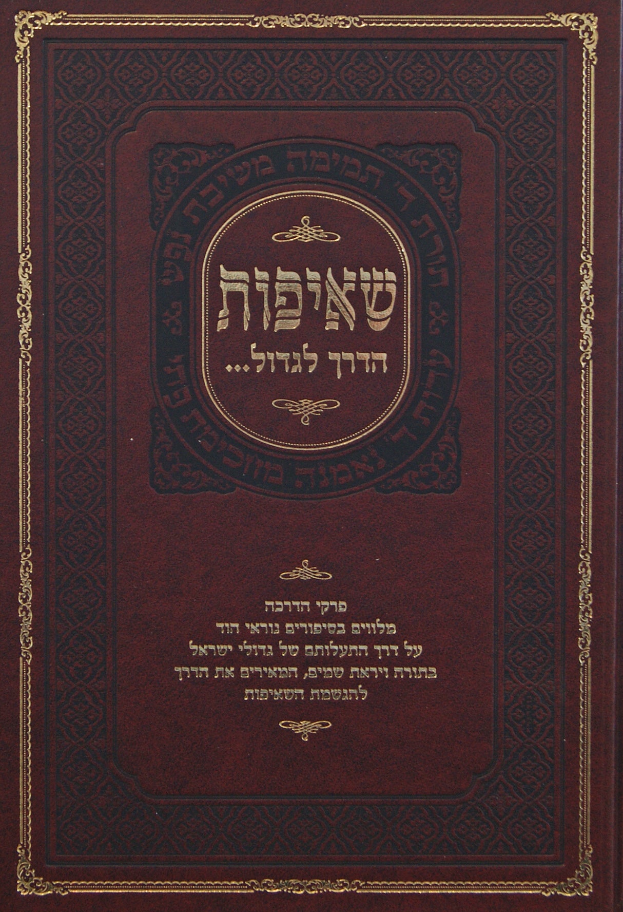 שאיפות חלק ב - הדרך לגדול