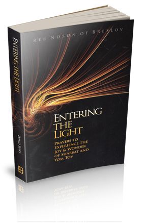 Entering the Light - Paperback