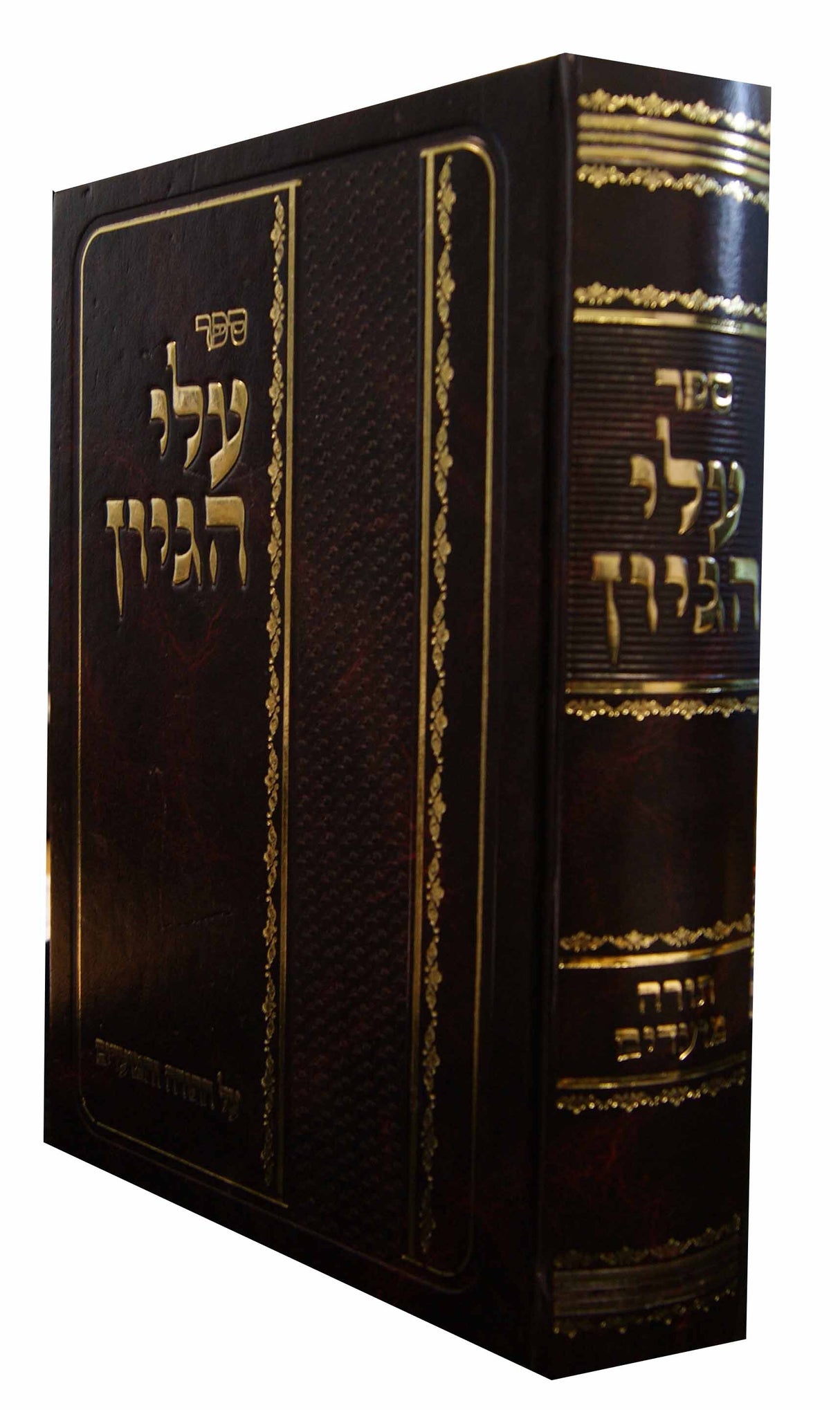 עלי הגיון על התורה והמועדים