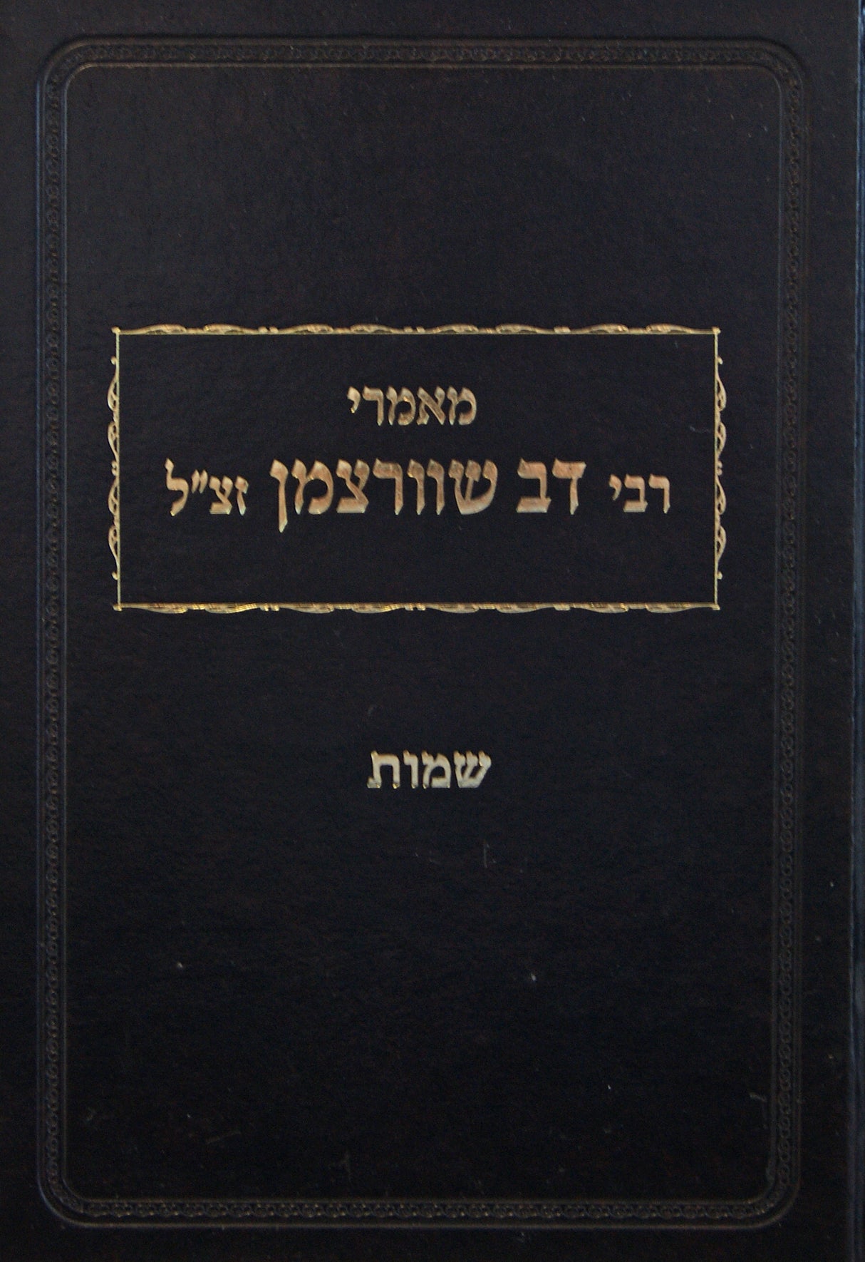 מאמרי רבי דב שוורצמן - שמות