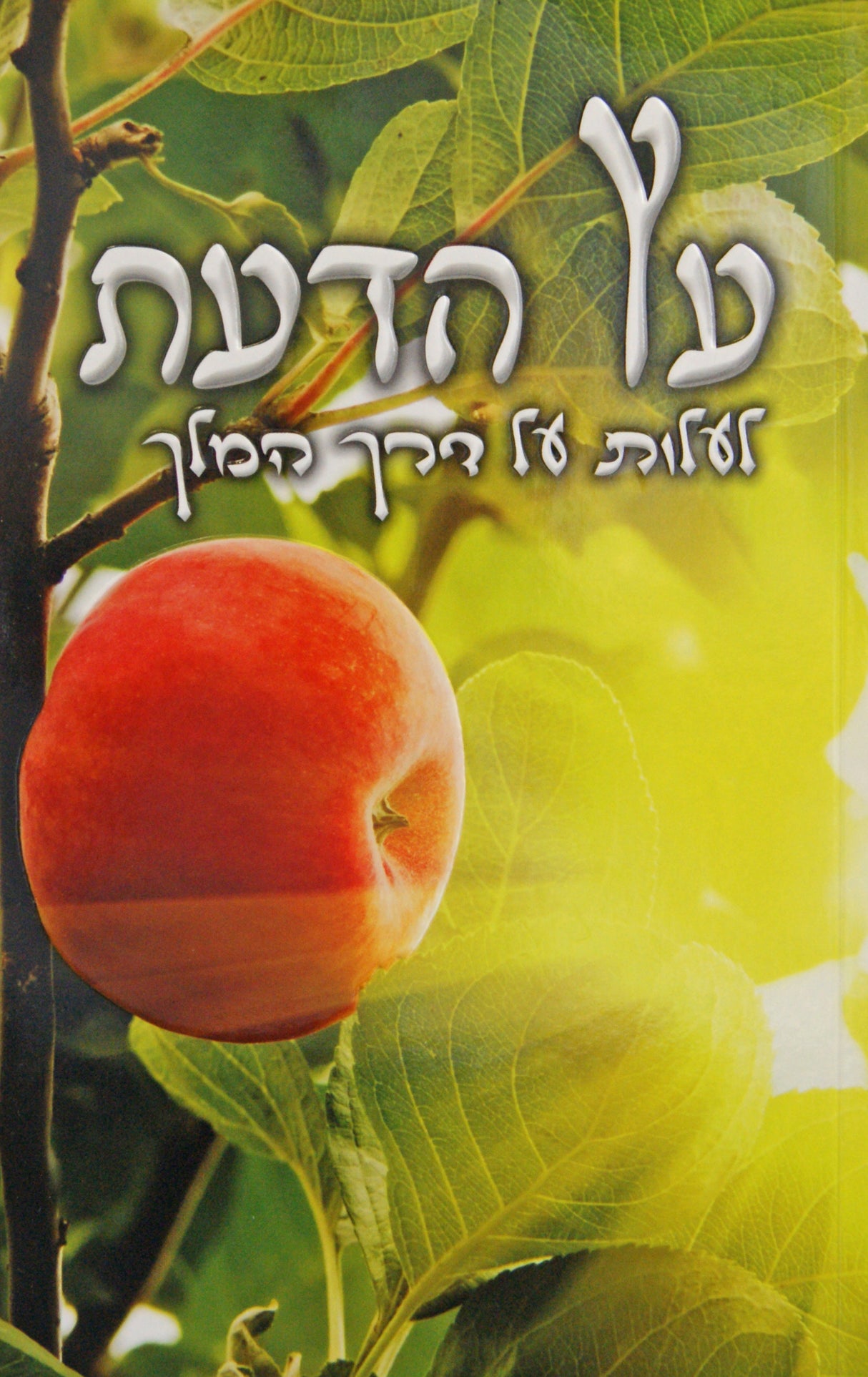 עץ הדעת רכה - לעלות על דרך המלך