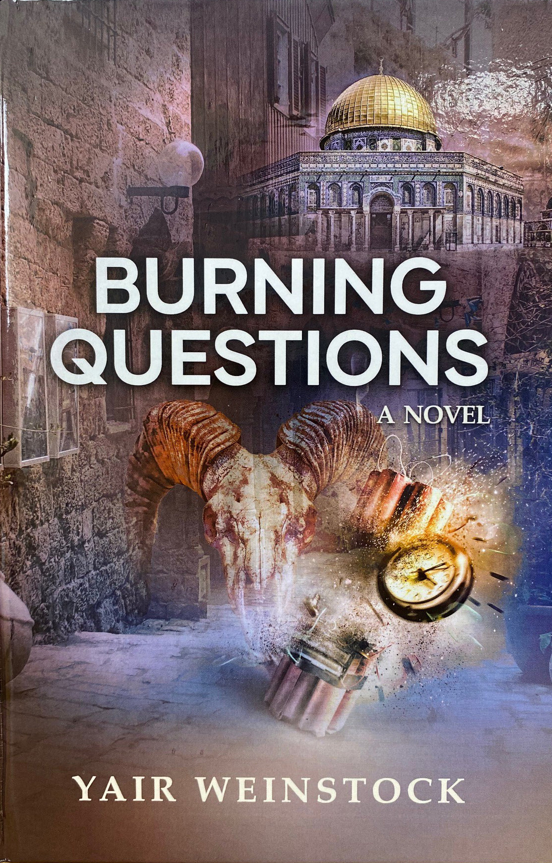 Burning Questions - Novel