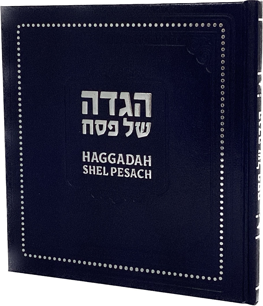 הגדה פי.יו כסףBlue - English Instructions