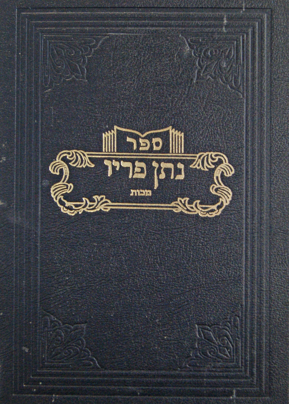 נתן פריו - מכות