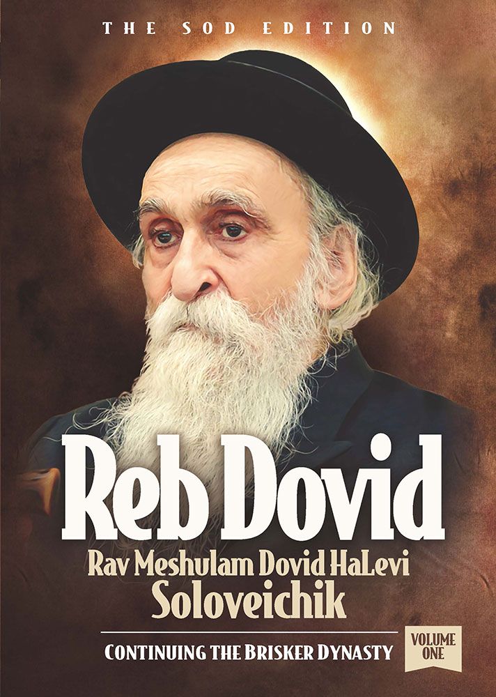 Reb Dovid Volume 1 - Rav Meshulam Dovid HaLevi Soloveichik