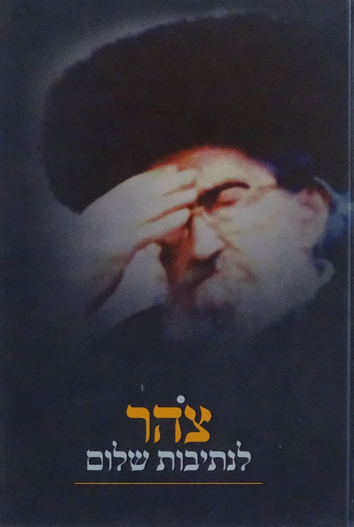 צהר לנתיבות שלום - סלונים
