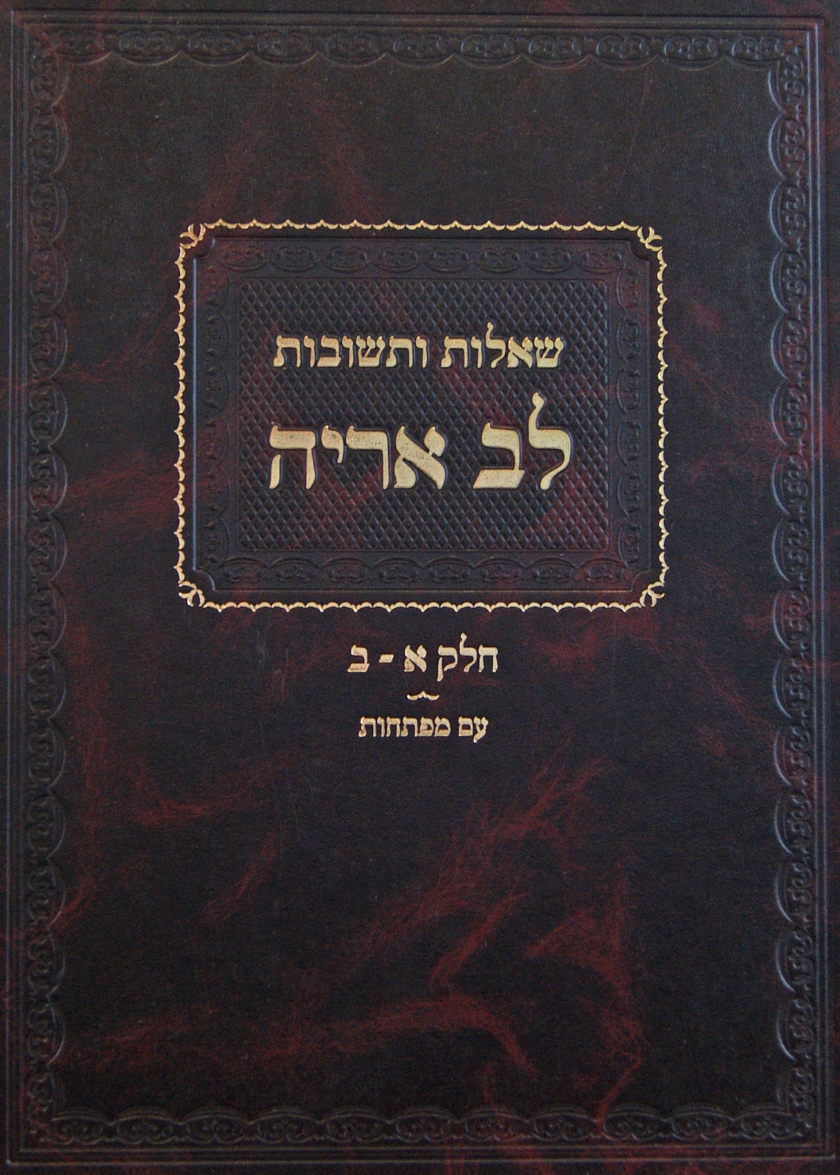 לב אריה בכרך אחד שו"ת