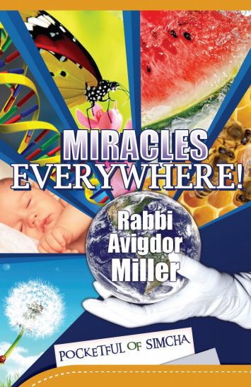 Miracles Everywhere!