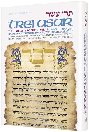 Artscroll: Trei Asar II / Twelve Prophets II by Rabbi Yitzchok Stavsky
