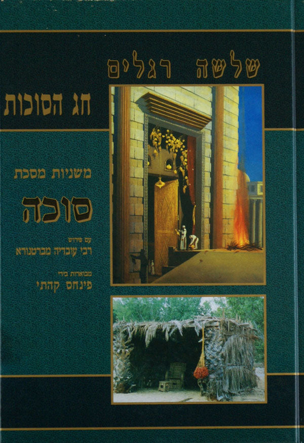 משניות קהתי סוכה מצויירות