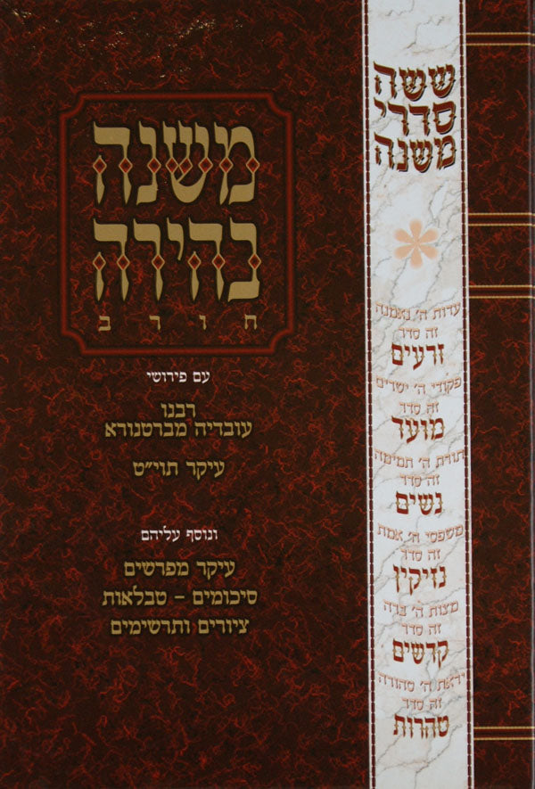 משנה בהירה חגיגה עם ציורים טבלאות וסיכומים