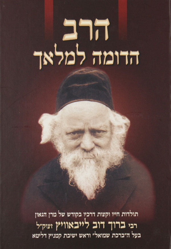 הרב הדומה למלאך - רבי ברוך דוב לייבאוויץ