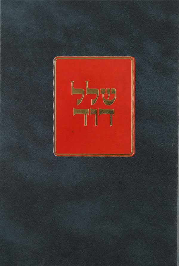 שלל דוד על התורה ומגילת אסתר