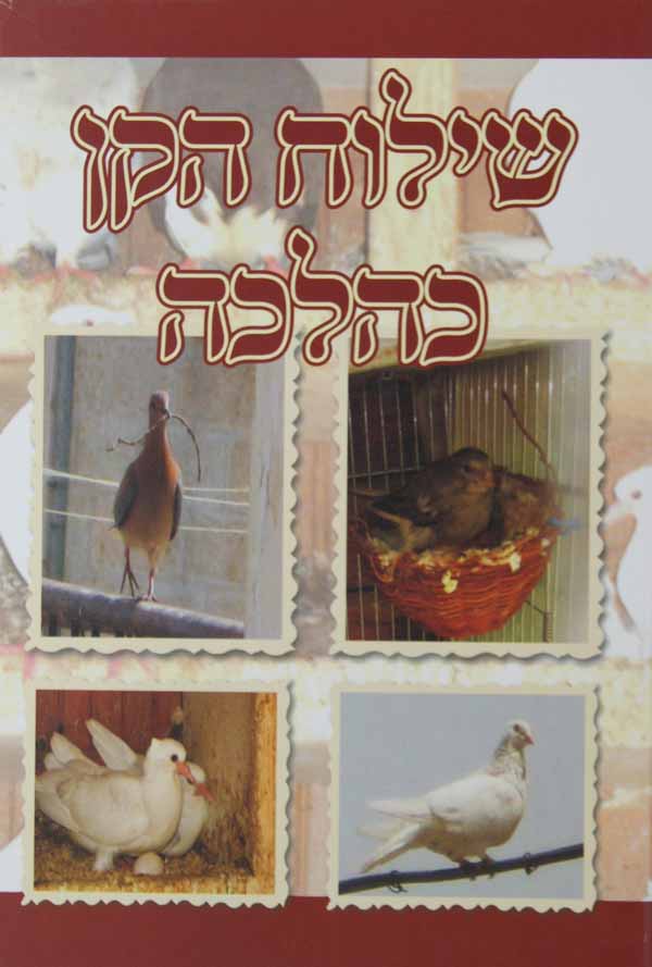 שילוח הקן כהלכה