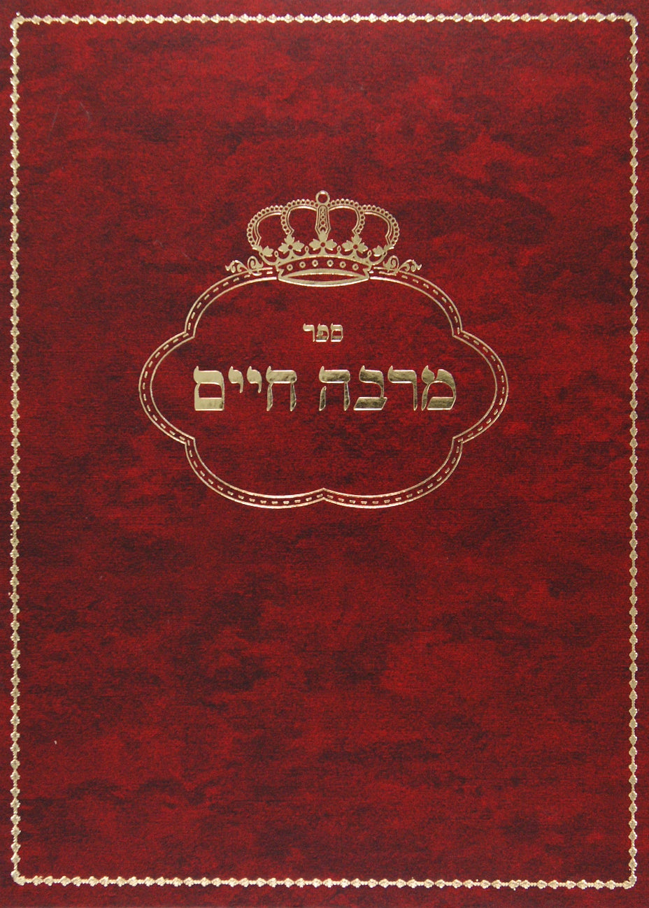 מרבה חיים - חידושים וביאורים תשובות ובירורים