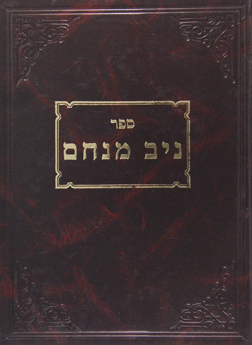 ניב מנחם