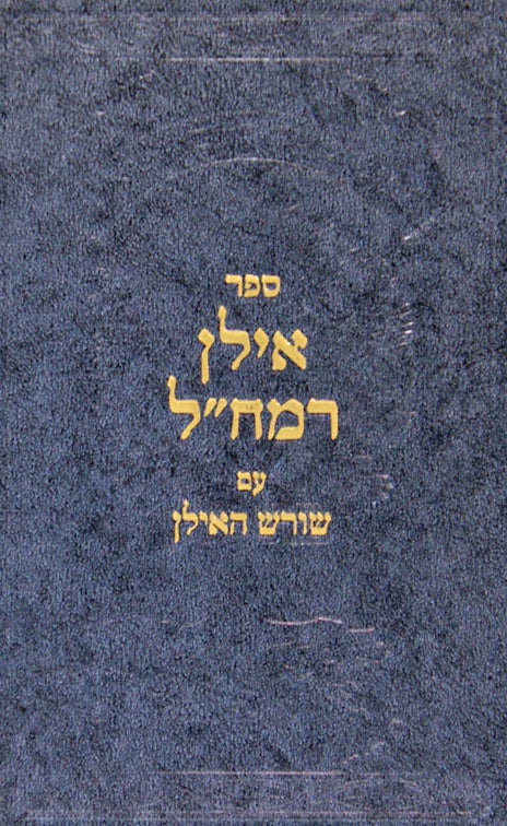 אילן רמח"ל עם שורש האילן