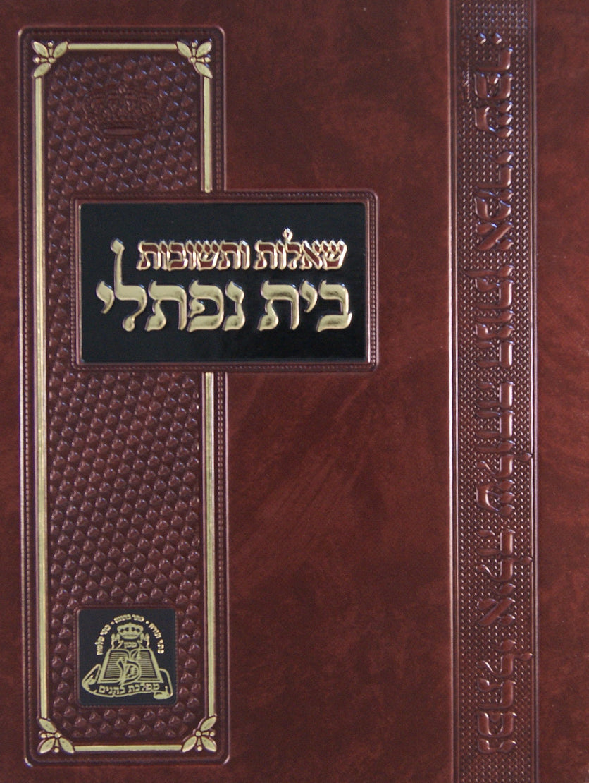 בית נפתלי שו"ת חדש