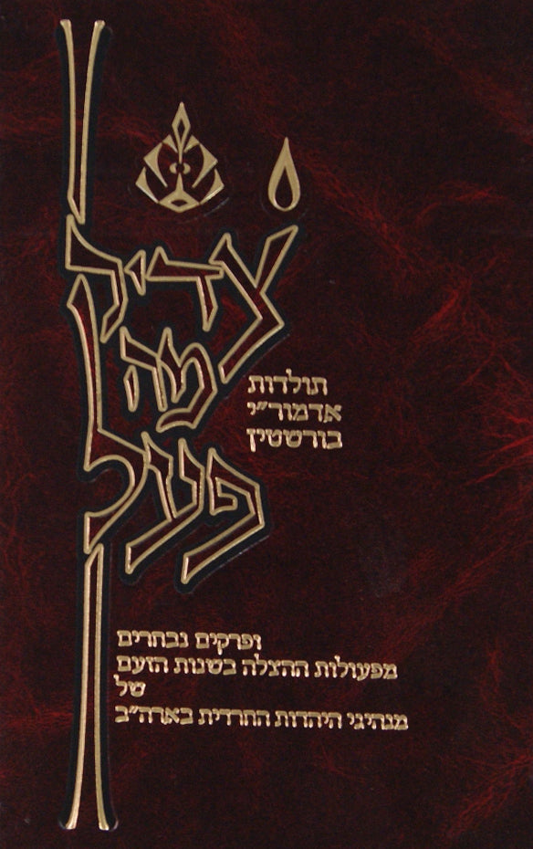 צדיק מה פעל-אדמור"י בורשטין