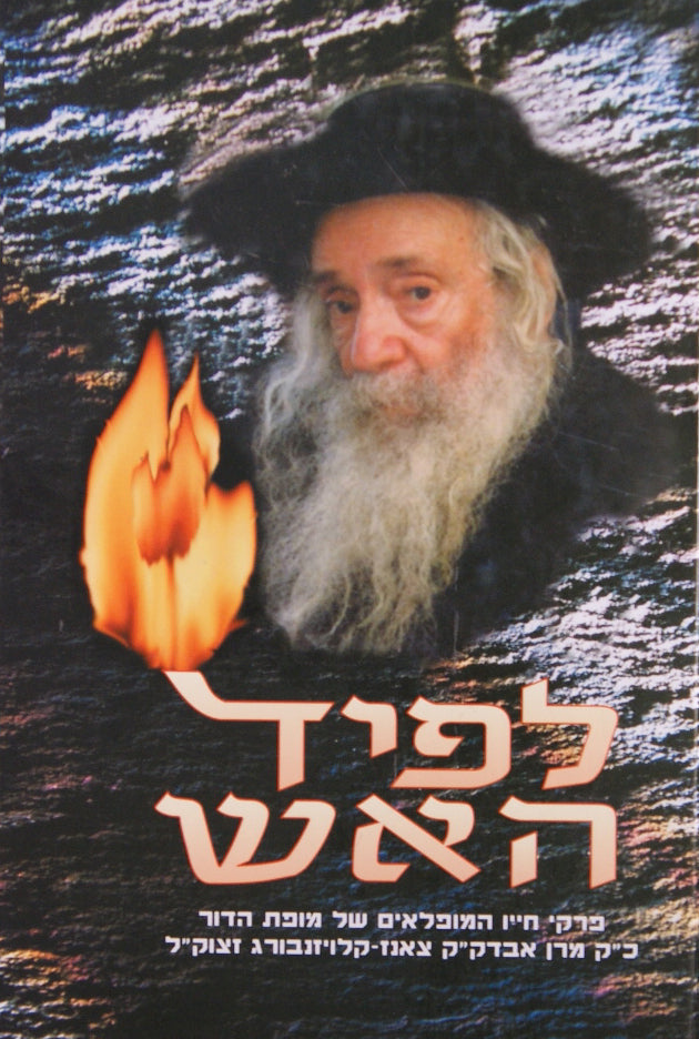 לפיד האש חלק ב - תולדות חייו של הרבי מקלויזנבורג