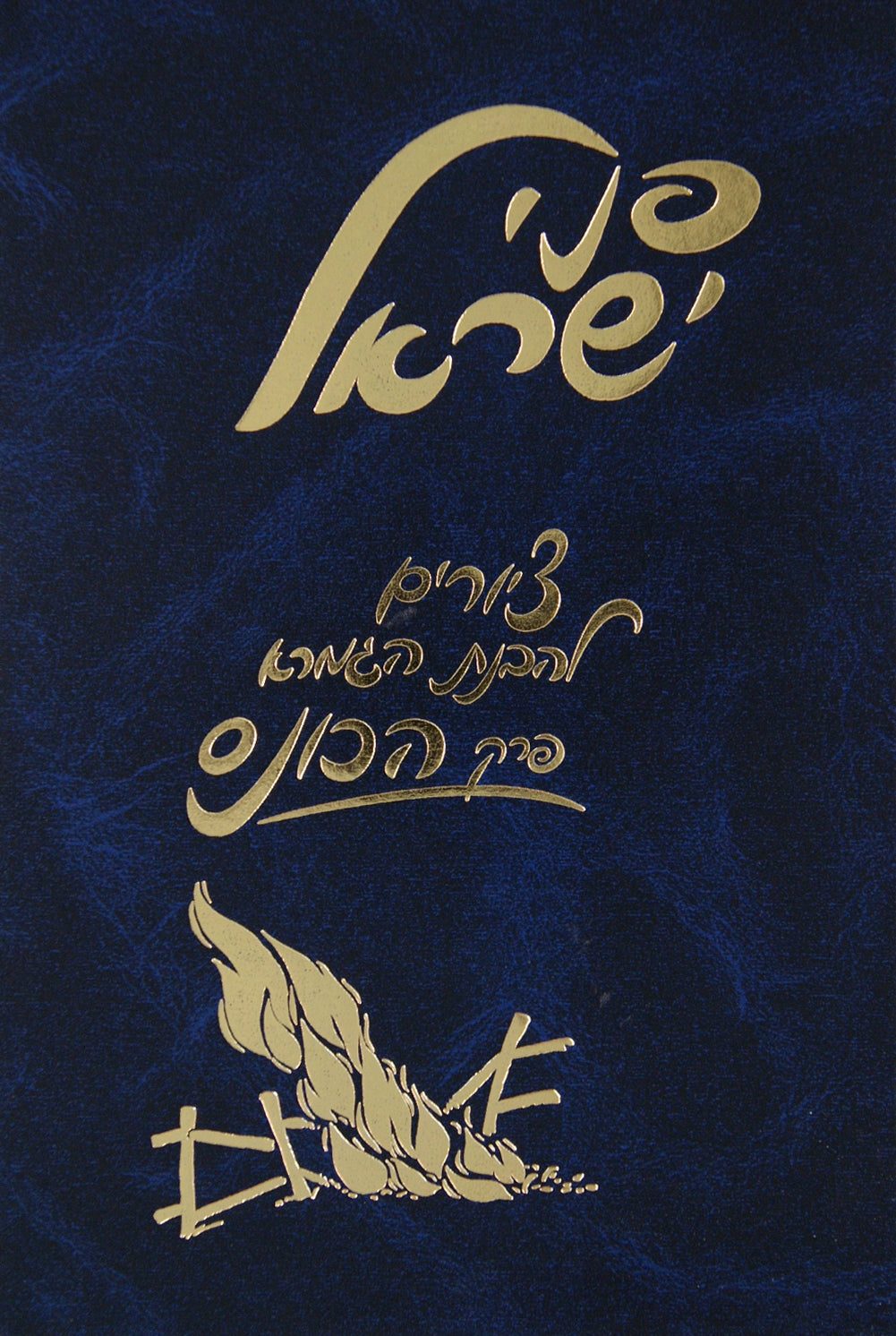 פ' הכונס עם ציורים - פני ישראל