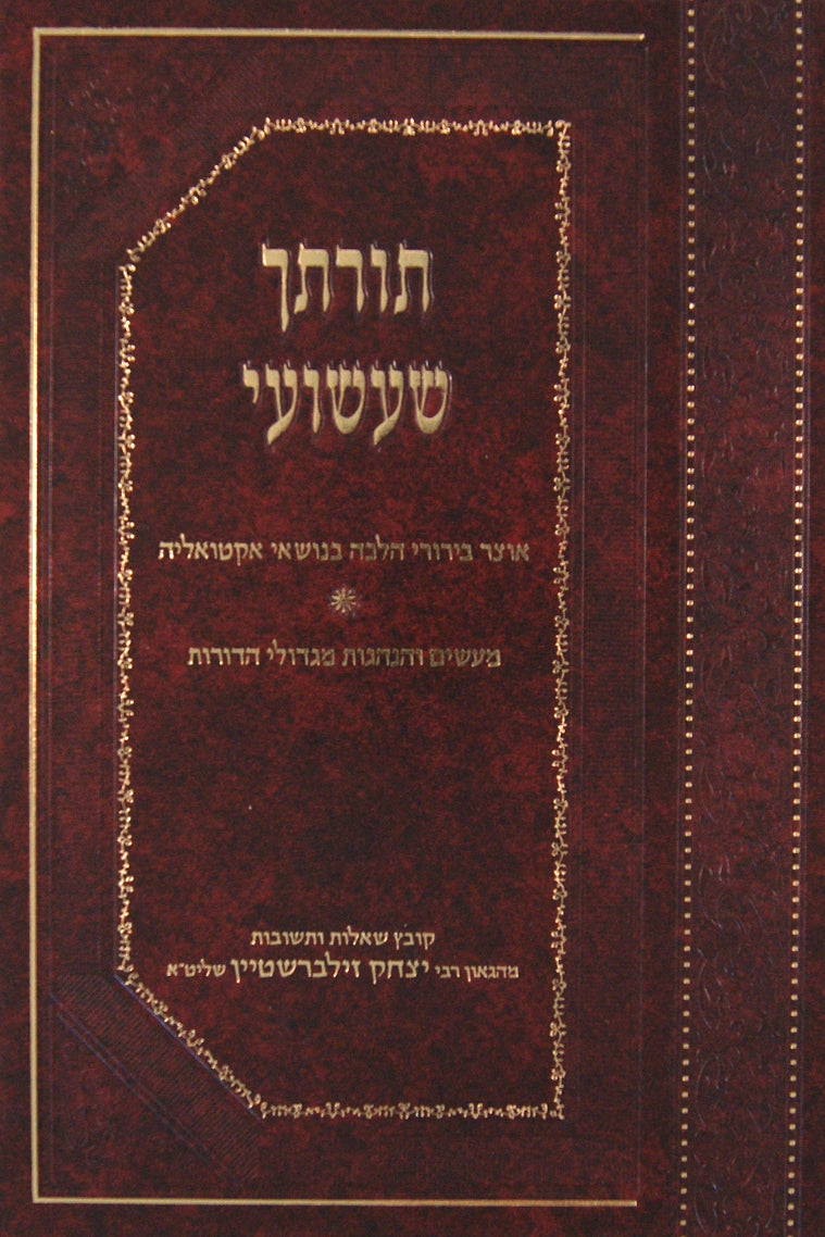 תורתך שעשועי -ר' יצחק זילברשטיין