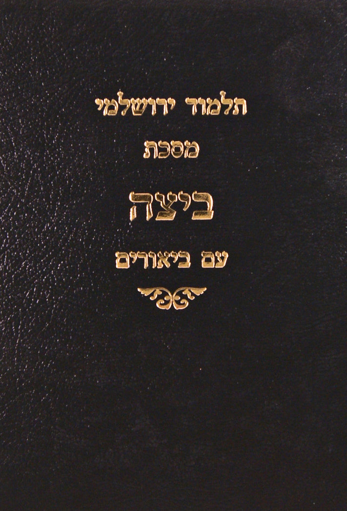 ירושלמי עירובין עם ביאורים