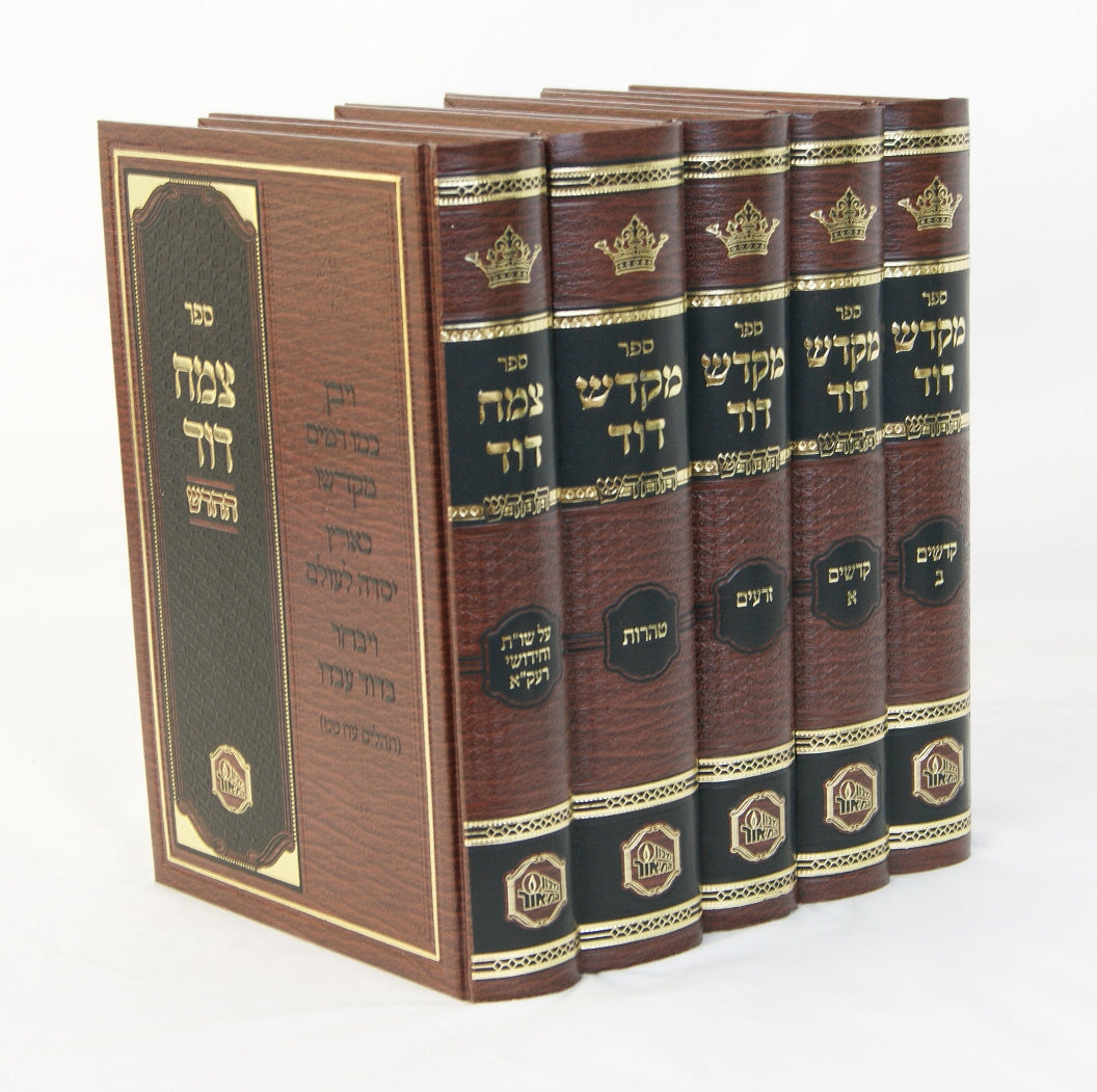 מקדש דוד סט - מכון המאור