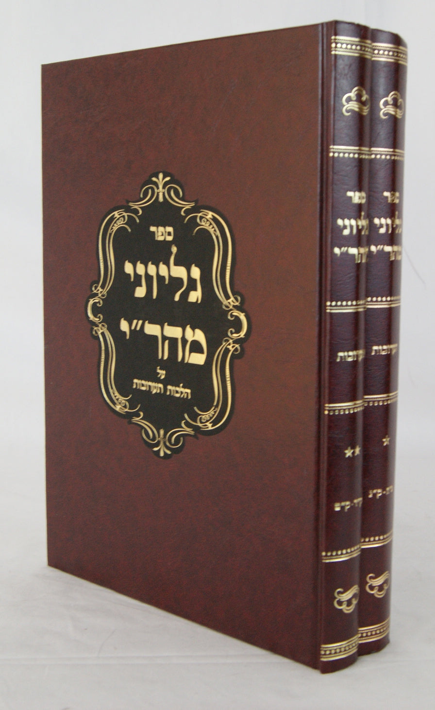 גליוני מהר"י מדז'יקוב על הלכות תערובות ב' כרכים