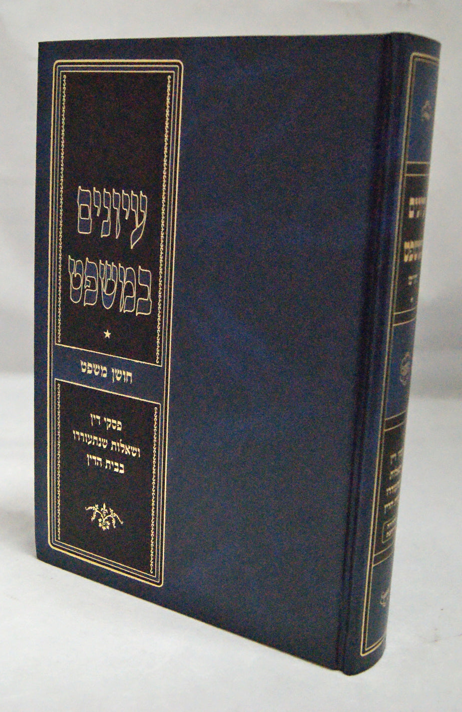 עיונים במשפט - חושן משפט